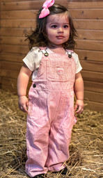 POLAR KING 258.28 Toddler Traditional Insulated Duck Bib Overalls