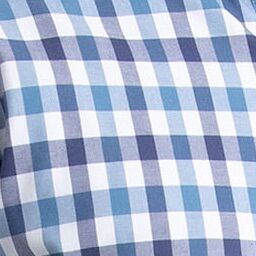 Plaid Blue U