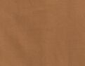Brown Duck