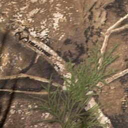 Realtree APX